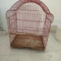 قفس بزرگ