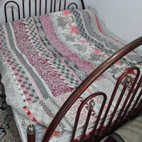 تخت فلزی وجاکفشی