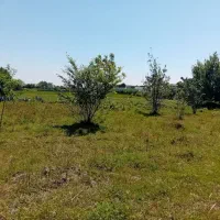 زمین اقساطی /سند تک برگ/