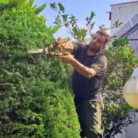 انجام باغبانی هرس گلکاری کود سمپاشی شخم زدن باغبان