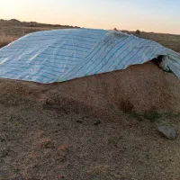 کاه|لوازم جانبی حیوانات|اردبیل, |دیوار