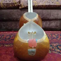 تار دو مهر استاد بختیاری