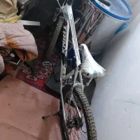 دوچرخه حرفه ای