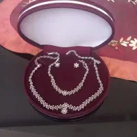 سرویس نقره