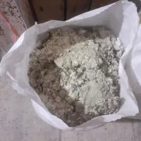 کبوتر