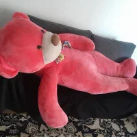 خرس پولیشی بزرگ۲متری
