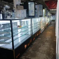 یخچال ۲متری دورونما