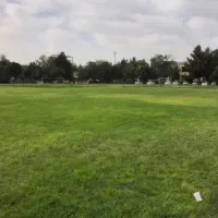 رزرو چمن های مصنوعی
