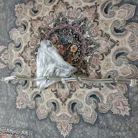 خیابان امام زمان