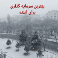 بهترین سرمایه گذاری