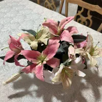 گل و گلدان هارمونی