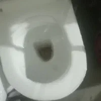 توالت فرنگی
