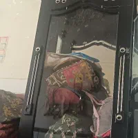دو ویترین شیک عروسانه