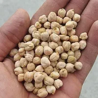 نخود درجه یک بوجاری شده