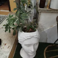گل و گلدان