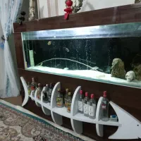 آکواریوم