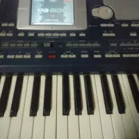 ارگ pa800