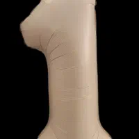 وسایل  تولد