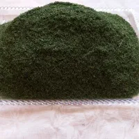 اسباب بازی(شوید