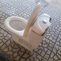 توالت فرنگی