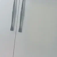 قفس پرنده
