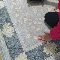 2 عدد فرش 6متری یک جفت محتشم 1500شانه طلاکوب فیلی