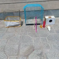 لانه و قفس پرنده