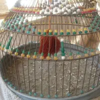 قنارخ ا ک ی