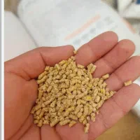 فروش دان خوراک سبک سنگین داشتی پرواری خوراک