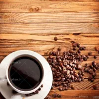 فال. تخفیف برای همشهریان عزیز