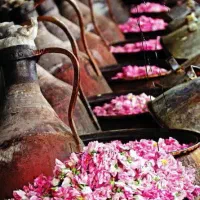 تور قمصر کاشان، آبشار نیاسر