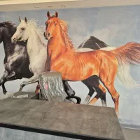 پانسیون اسب در باشگاه سوارکاری مشهد نوچاه