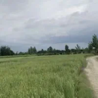 زمین-کشاورزی