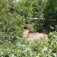 ۹۱۶زمین مسکونی حصاربن