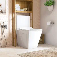 چینی بهداشتی کرد