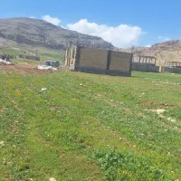 مشاور املاک اکازیون