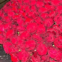 دسته گل
