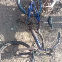تنه دوچرخه