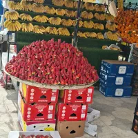 شاگرد برای میوه فروشی