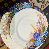 ظروف پذیرایی