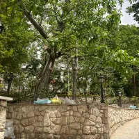 زمین تجاری  ۲۰۰ متر / بر خیابان اصلی / سند شخصی