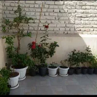 منزل مسکونی/سه خوابه/نیایش