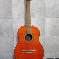 فروش گیتار کلاسیک برند Taylor