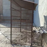 قفس بزرگ