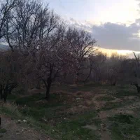 فروش چهار هزار متر زمین