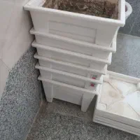 گلدان|گل و گیاه طبیعی|همدان, |دیوار