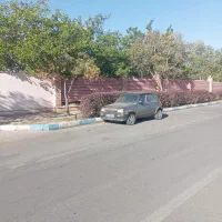 پی کی