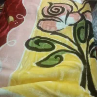 2عدد پتو یک نفره