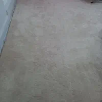 پالازموکت درحدنو