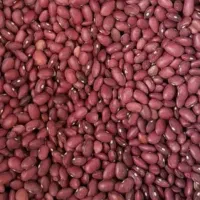 لوبیاقرمز